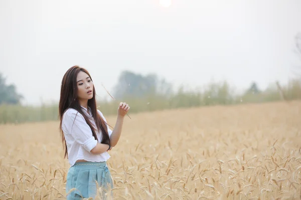 Asian girl on wheat field — Stock Photo, Image