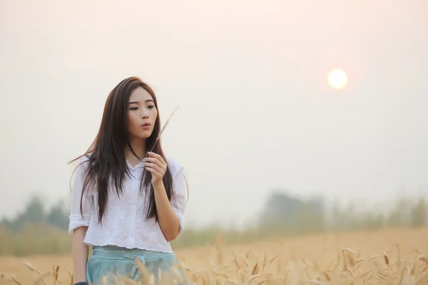 Menina asiática no campo de trigo — Fotografia de Stock