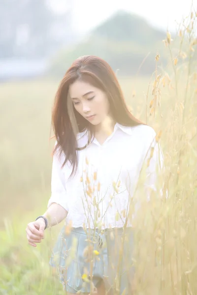 Asiatico ragazza su grano campo — Foto Stock