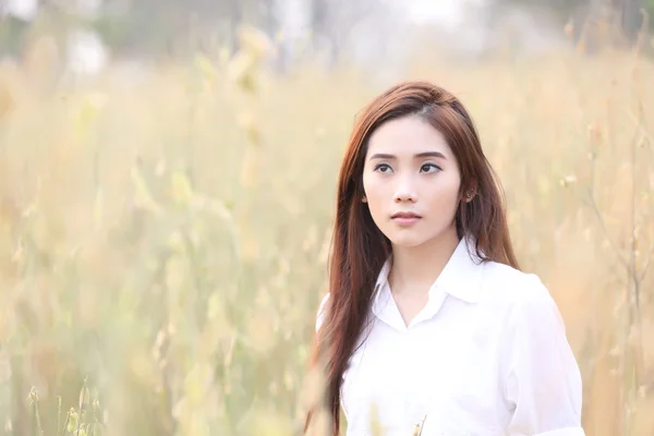 Asian girl on wheat field — Stock Photo, Image