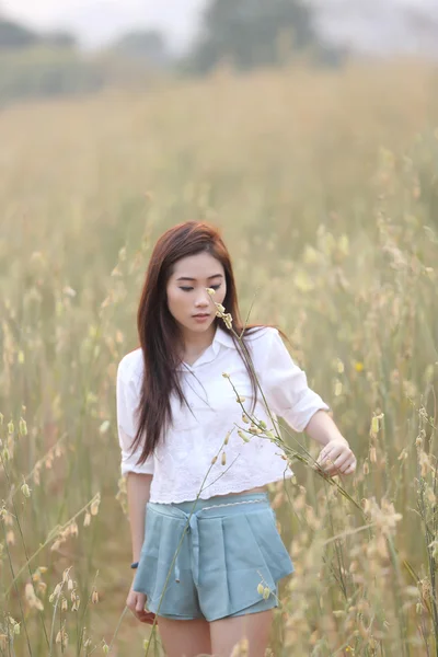 Ασιατικό κορίτσι στο πεδίο σιτάρι — Φωτογραφία Αρχείου