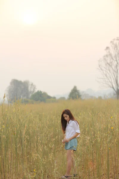 Menina asiática no campo de trigo — Fotografia de Stock