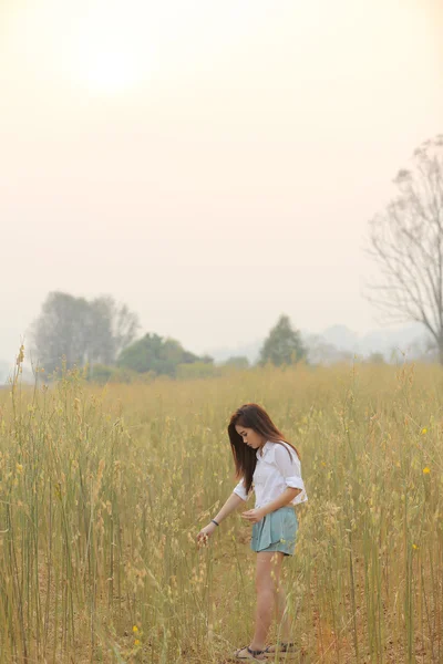 Menina asiática no campo de trigo — Fotografia de Stock