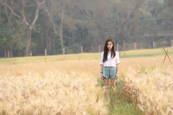 Asiática chica en trigo campo —  Fotos de Stock