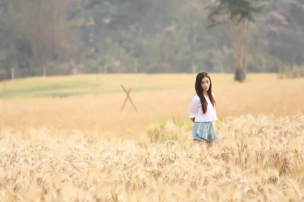 Asian girl on wheat field — Stock Photo, Image