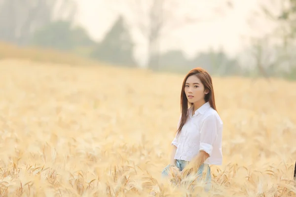 Asiática chica en trigo campo —  Fotos de Stock