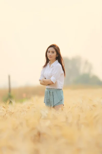 Asiatico ragazza su grano campo — Foto Stock