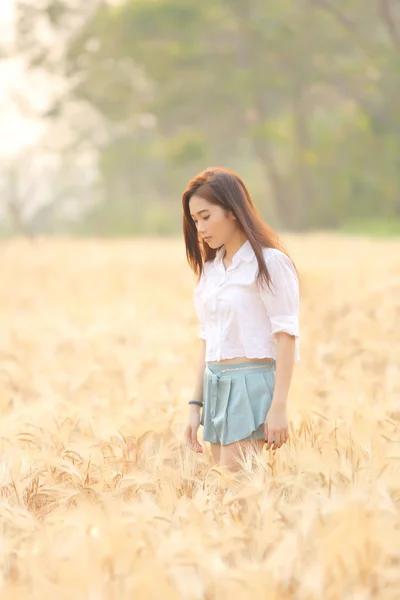 Asiática chica en trigo campo —  Fotos de Stock