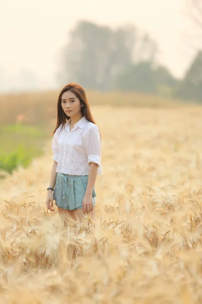 Азиатка на пшеничном поле — стоковое фото