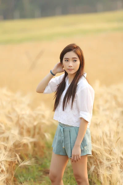 Asijská dívka v pšeničné pole — Stock fotografie