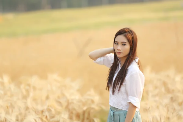 Azjatyckie dziewczyny na polu pszenicy — Zdjęcie stockowe