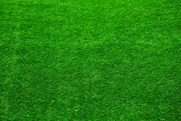 Grass background — Stock Photo, Image