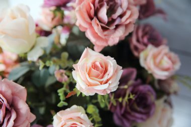 pembe gül çiçeği