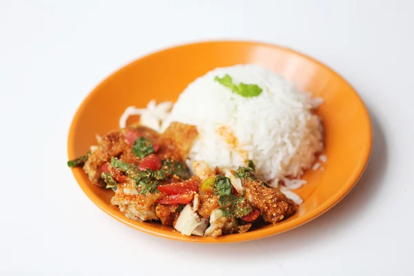 Spicy salad chicken with rice — Stock Photo, Image