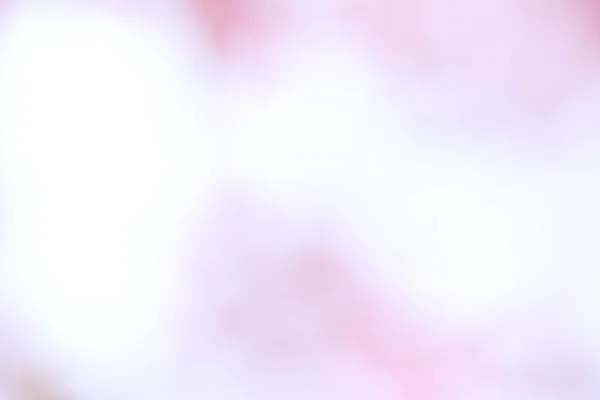 Pink background from sakura flower — Stock Photo, Image