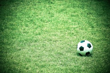 Gölde balık yiyen yılan