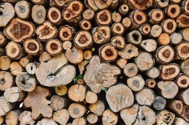 Ahşap Arkaplan Dokusu