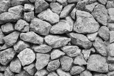 Taş Skylark yuva kuşlar