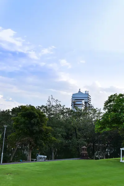 Primavera en el parque — Foto de Stock