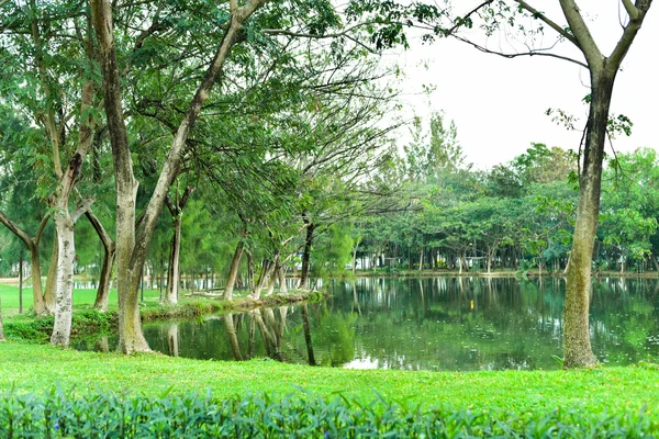 Spring di taman — Stok Foto