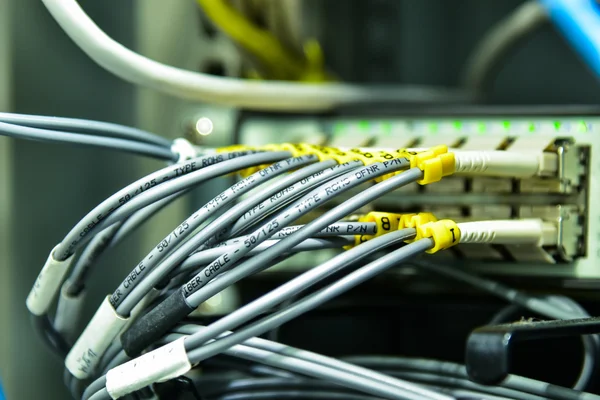 Sieć kabel danych — Zdjęcie stockowe