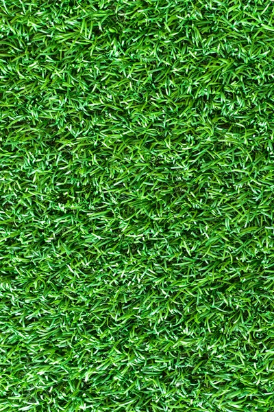 Artificial grass — Stock Photo, Image