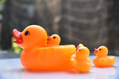 Sarı plastik ördek 