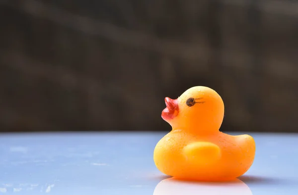 Yellow rubber duck — Stock Photo, Image