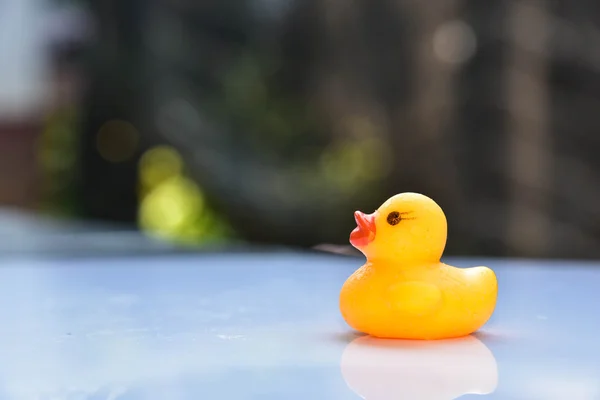 Yellow rubber duck — Stock Photo, Image