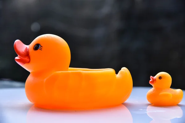 Yellow rubber duck — Stock Photo, Image