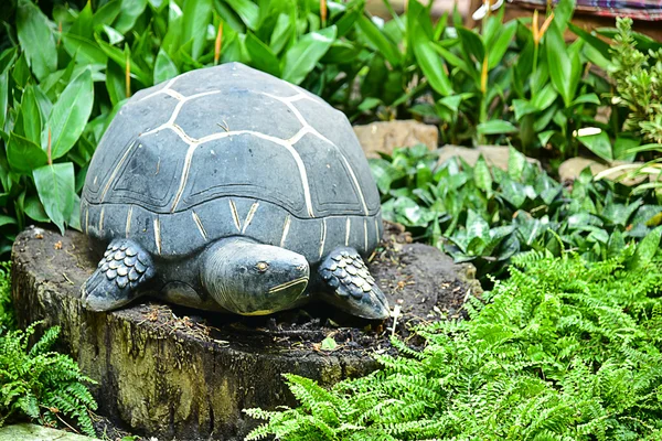 Büyük kaplumbağa heykeli — Stok fotoğraf