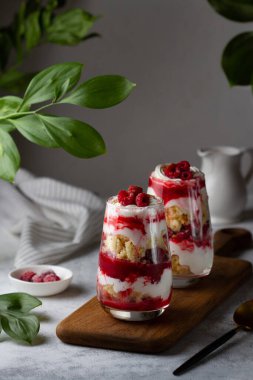 Bisküvili ıvır zıvır, ahududu ve cam bardaktaki katmanlı krema. Kaşıkla yenen lezzetli bir tatlı..