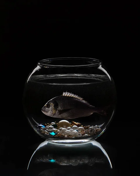 Dorado Pescado Acuario Con Joyas Perlas Piedras Riqueza Fondo Oscuro —  Fotos de Stock