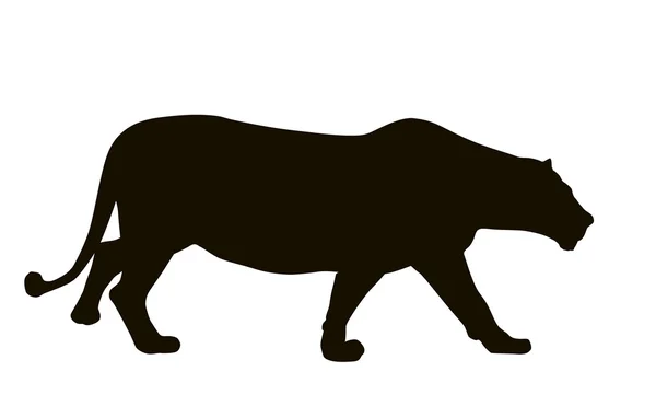Chasse au lion — Image vectorielle