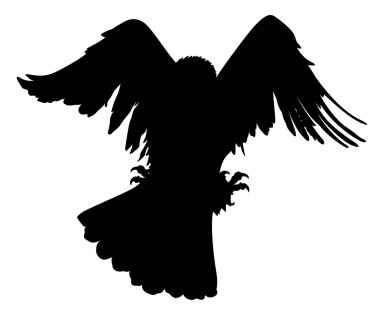 Avcılık vektör kartal