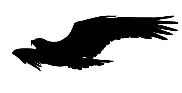 Vector águila volando — Vector de stock