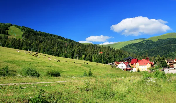 Mountains landscape — Stock Photo, Image