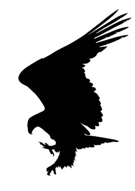 Avcılık vektör kartal