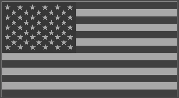 Bandiera USA grigio — Vettoriale Stock