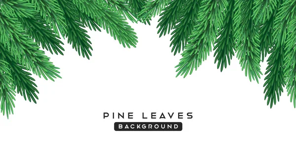 Pine Leaves Green Color Isolated Whtie Background Eps Vector Illustration — 图库矢量图片