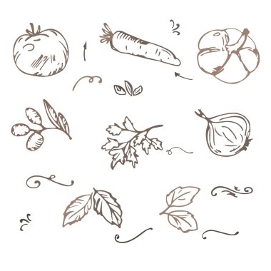 Sebze sketch vektör doodle