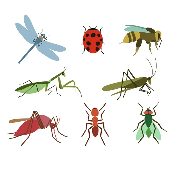 Zbiór owadów przenoszących choroby — Wektor stockowy