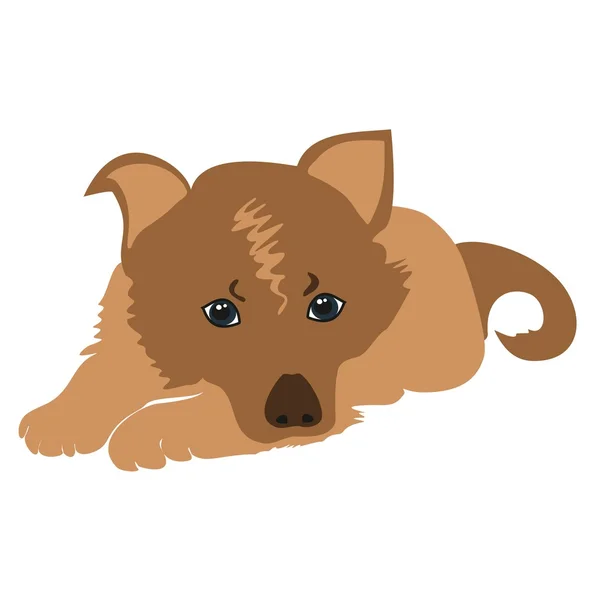 Sad puppy vector. — Stock Vector