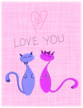 cats aşk