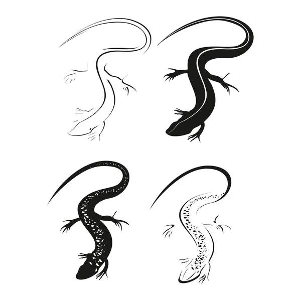 Decorative black lizard set. — Stock Vector