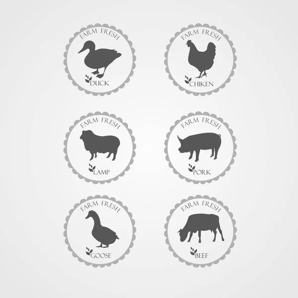Colección de etiquetas e insignias de carne. Establecer pollo de granja, ganso, pato, cordero, cerdo, carne de res . Vectores de stock libres de derechos