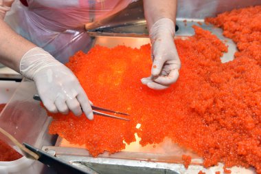 Processing of salmon caviarSalmon caviar clipart