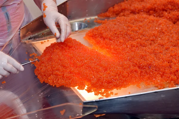 Processing of salmon caviarSalmon caviar Stock Picture