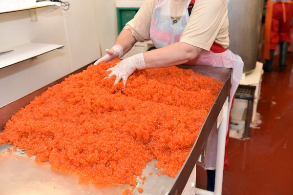 Caviarsalmon lazac kaviár feldolgozása Jogdíjmentes Stock Fotók