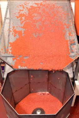 Somon havyar üretimi